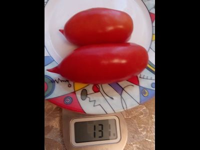 Томат Osu o Blonde avec Tetons (Пышногрудая блондинка Osu)