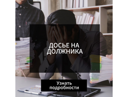 ДОСЬЕ НА ДОЛЖНИКА