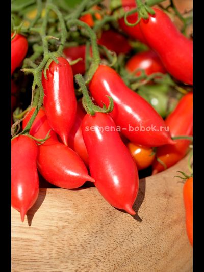 Томат Pelino 2014 (Пелино 2014), 7 шт