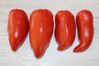 Saint Jean d’Angely (Сен -Жан д&#039;Анжели)