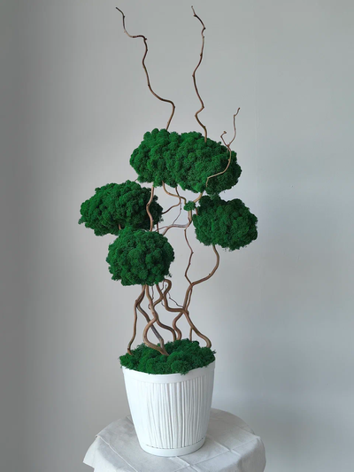 Живая эко-композиция 1002