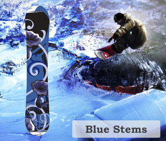 Наклейка на сноуборд Blue Stems.png