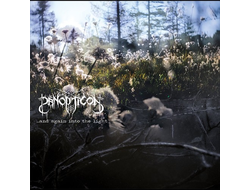 Panopticon - ...And Again Into The Light CD