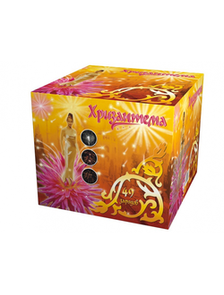 P9096 Хризантема