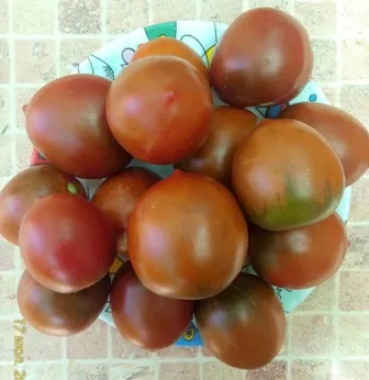 Томат Маленькое черное сердце