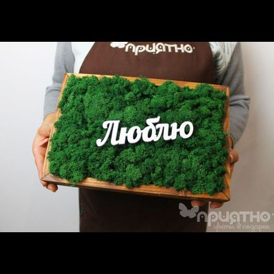 ЖИВАЯ ЭКО-КАРТИНА 1053