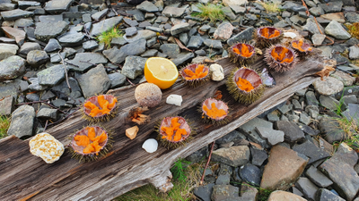 Полуостров Рыбачий (5 дней)