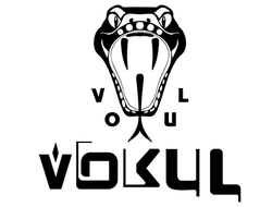 Трюковой самокат VOKUL, экстремальный спорт, мотомотив custom shop