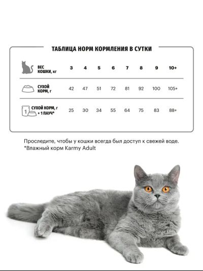 Karmy British Shorthair Adult (Британская Шортхэйр Эдалт) для кошек породы британская короткошерстная, Индейка 10 кг
