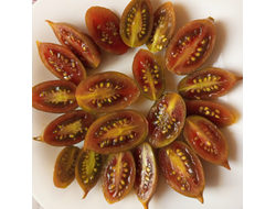 Томат Эмалия (Emalia) Франция