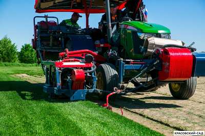 Рулонный газон Эталон