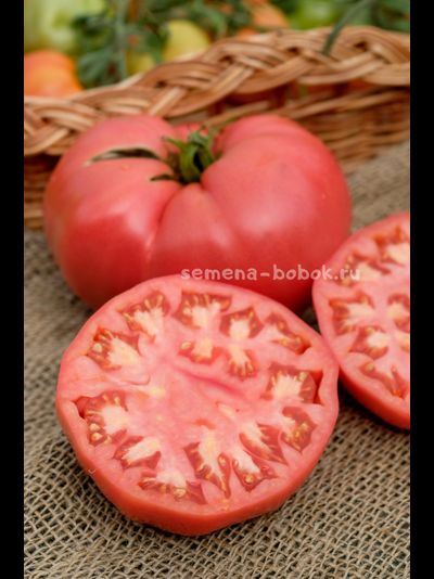 Томат Минусинский Крупный, 10 шт