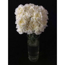 Гвоздика 15 шт