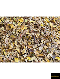 мульча из листьев