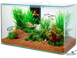 Аквариум Prime Scaper's 7 литров (23x15x21 см)