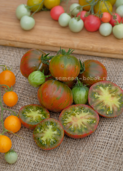 Томат Delta Diver red (Гном Дельта Дивер Ред), 10 шт