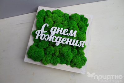 Живая Эко-Картина "C Днем Рождения" 1081