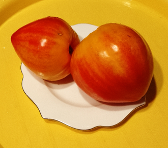 Семена томата Полуночное солнце