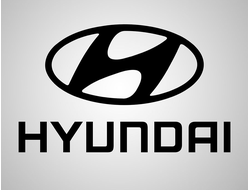 НЕРЖАВЕЮЩИЕ ЭЛЕМЕНТЫ СУППОРТОВ HYUNDAI