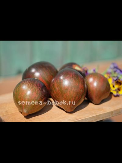 Томат Восставший Звездный Истребитель Прайм, 10 шт