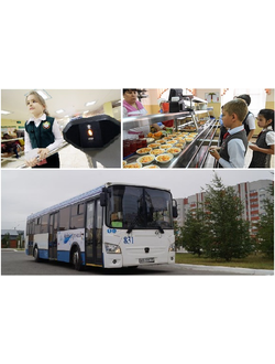 Единая карта школьника (Пропуск СКУД, Проезд, Школьное питание)