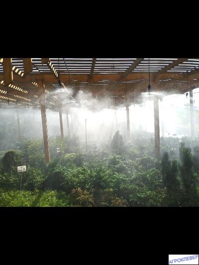 Подвес для микродождевателя / фоггера (6мм Н), с клапаном &quot;антикапля&quot;, 30 см