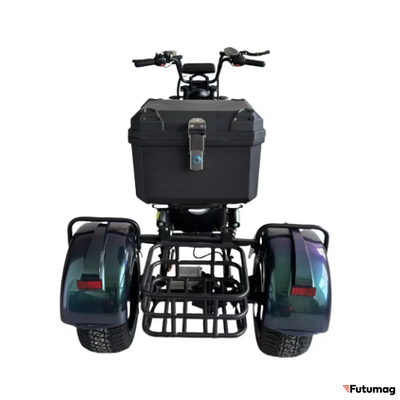 Электроскутер Skyboard MyRussia BR60 3000W