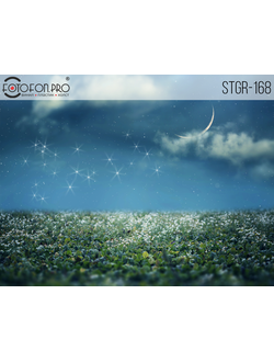 Фотофон на холсте «Огоньки звезд»