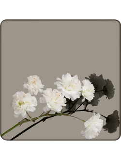 Декоративная нержавеющая сталь Mirror Black Артикул - DM025