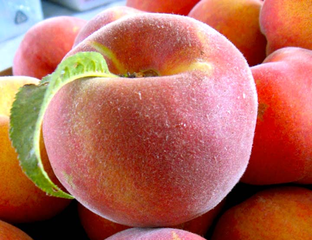 Персик Канадиан Хармони