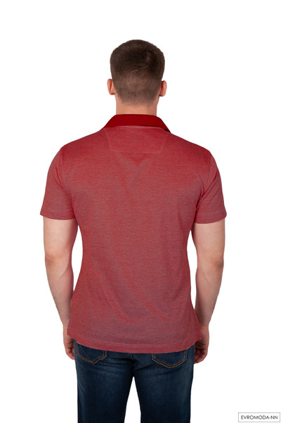 Поло мужское Пило-F13