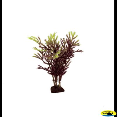 1170524 АRТ Набор 10см. иск.раст. Хоттиния коричнево-желт. 6шт.