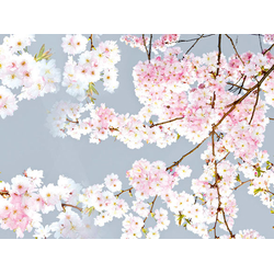 ШМП007 Панель FM21. Размер: 2800х610х6.