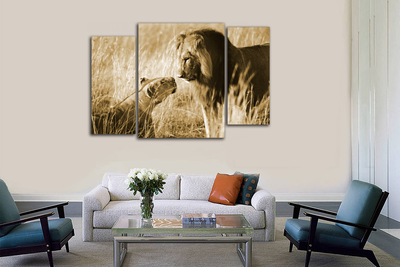 Модульная картина "Любовь царей Саванны"