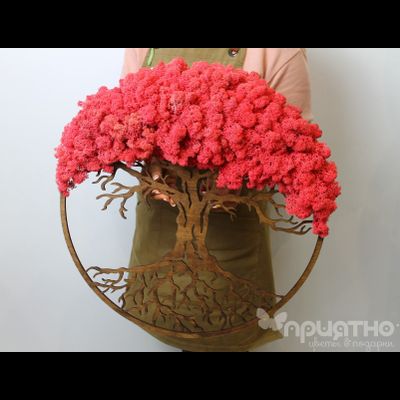 ЖИВАЯ ЭКО-КАРТИНА 1023