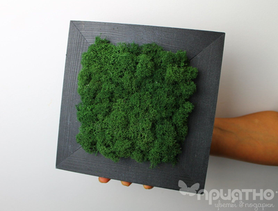 ЖИВАЯ ЭКО-КАРТИНА 1066