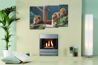 Модульная картина "Внимательные взгляды"