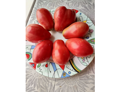 Томат Клубничный (Fragolone), Италия