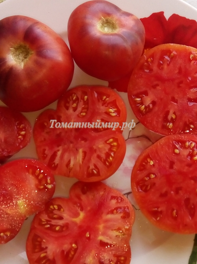 Томат Дорога Скотдейл  (Scotsdale Road)