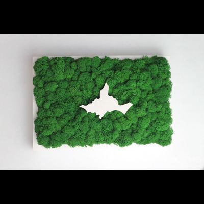 ЖИВАЯ ЭКО-КАРТИНА 1032