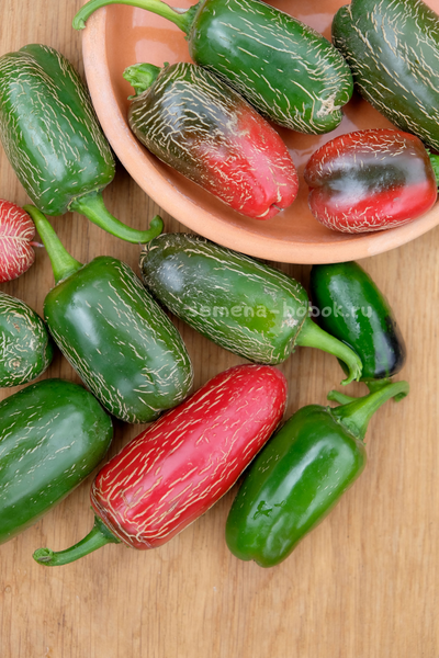 Перец острый Jalapeno Chichimeca, 10 шт