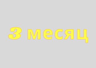 3-й месяц: лечение атеросклероза, артериальной, гипертензии, нейроциркуляторная дистония