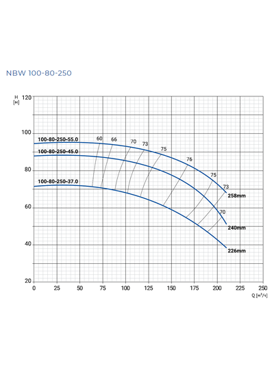NBW 100-80-250-55.0/2-G