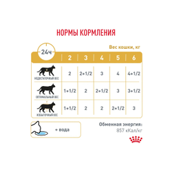 Royal Canin (Роял Канин) Urinary S/O Влажный корм (пауч) для кошек при мочекаменной болезни, в соусе 85 г
