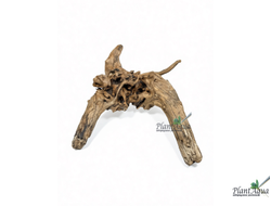 SwetAqua Chinese Sunken S - Натуральная коряга "Китайская затонувшая" S 20-35 см