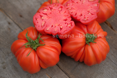 Томат Rim (Рим), 10 шт