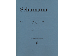 Schumann Allegro b minor op. 8