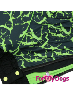 ДОЖДЕВИК ЧЕРНО/ЗЕЛЕНЫЙ НЕОН ДЛЯ МОПСОВ И ФРАНЦУЗОВ