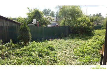 Удаление деревьев