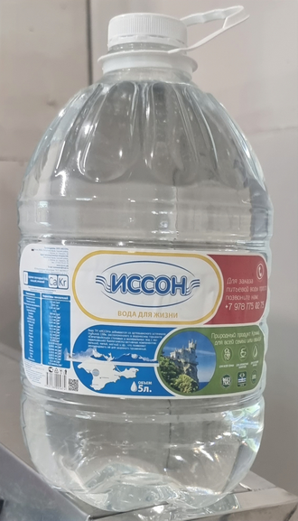 ВОДА ПРИРОДНАЯ ПИТЬЕВАЯ "ИССОН", НЕГАЗИРОВАННАЯ, ПЭТ, 5 литров